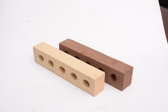 L'argilla lunga della cavità di dimensione blocca la parete della costruzione con i tipi rustici speciali